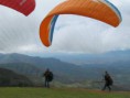 /album/fotogaleria/a1016116-472729259473020-990971847-n-jpg/